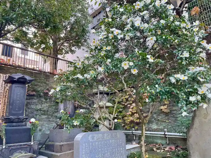 薬王寺(東京都)