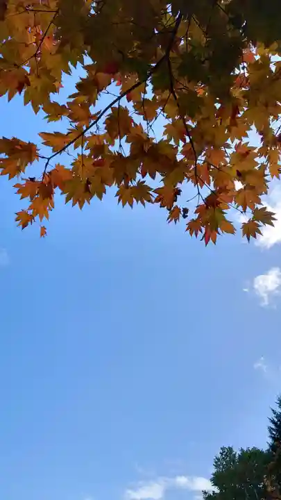 相馬神社(北海道)