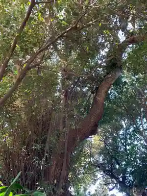 波切不動尊の自然