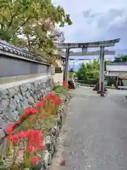 葛城一言主神社(奈良県)