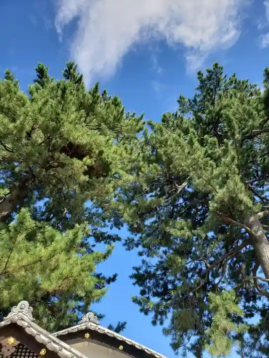 中野沼袋氷川神社の自然