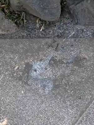 櫻木神社の{uncategorized: "未分類", other: "その他", undefined: "問題あり", building: "その他建物", grave: "お墓", sacred_gate: "鳥居", guardian: "狛犬", statue: "像", buddha: "仏像", history: "歴史", nature: "自然", garden: "庭園", animal: "動物", pagoda: "塔", temizu: "手水舎", mountain_gate: "山門・神門", sanctuary: "本殿・本堂", subordinate: "末社・摂社", art: "芸術", scenery: "景色", jizo: "地蔵", ema: "絵馬", goshuin: "御朱印", omikuji: "おみくじ", items: "授与品その他", amulet: "お守り", goshuincho: "御朱印帳", eats: "食事", festival: "お祭り", votive_dance: "神楽", shichigosan: "七五三参", wedding: "結婚式", experience: "体験その他", initially: "初詣", around: "周辺", anti_infection: "感染症対策"}