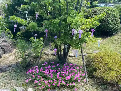秋葉總本殿可睡斎(静岡県)