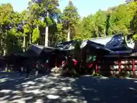 箱根神社の本殿・本堂