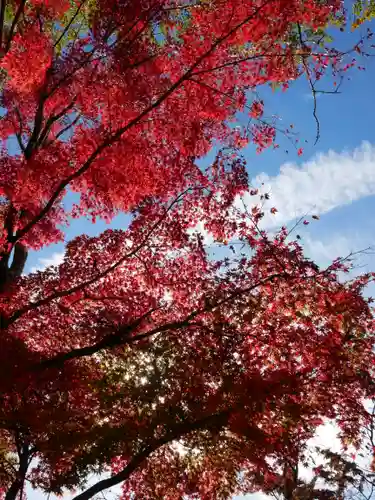 葭原観音堂の自然