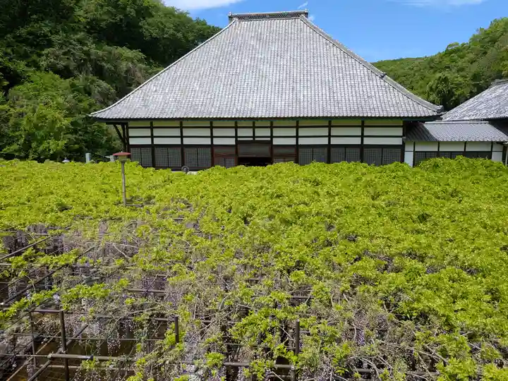 長泉寺(埼玉県)