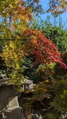 勧修寺(京都府)