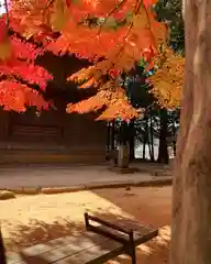 滑川神社 - 仕事と子どもの守り神の自然