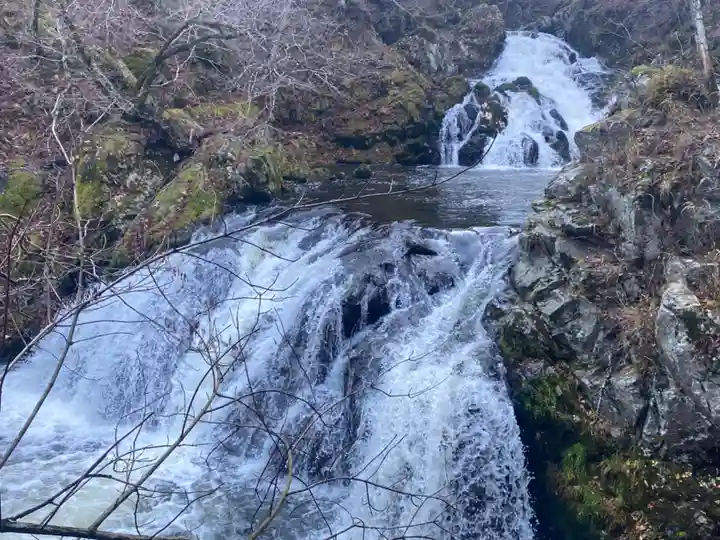 白瀧神社の自然