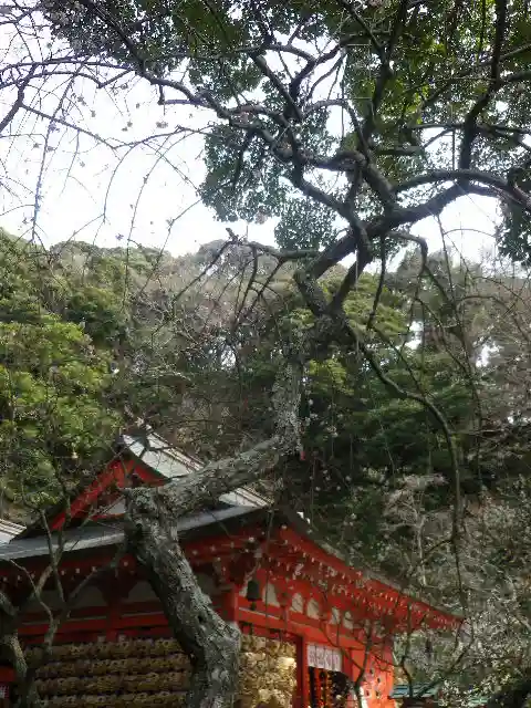 荏柄天神社のその他建物