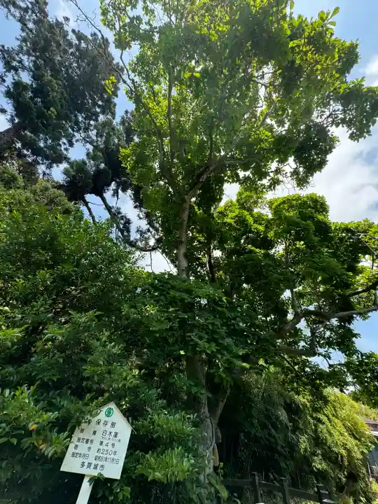 陸奥総社宮の{uncategorized: "未分類", other: "その他", undefined: "問題あり", building: "その他建物", grave: "お墓", sacred_gate: "鳥居", guardian: "狛犬", statue: "像", buddha: "仏像", history: "歴史", nature: "自然", garden: "庭園", animal: "動物", pagoda: "塔", temizu: "手水舎", mountain_gate: "山門・神門", sanctuary: "本殿・本堂", subordinate: "末社・摂社", art: "芸術", scenery: "景色", jizo: "地蔵", ema: "絵馬", goshuin: "御朱印", omikuji: "おみくじ", items: "授与品その他", amulet: "お守り", goshuincho: "御朱印帳", eats: "食事", festival: "お祭り", votive_dance: "神楽", shichigosan: "七五三参", wedding: "結婚式", experience: "体験その他", initially: "初詣", around: "周辺", anti_infection: "感染症対策"}