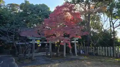 新日吉神宮(京都府)