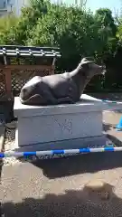 湯島天満宮の狛犬