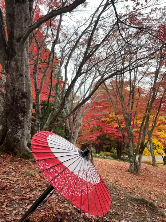 土津神社|こどもと出世の神さま(福島県)
