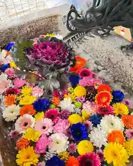 札幌諏訪神社の手水