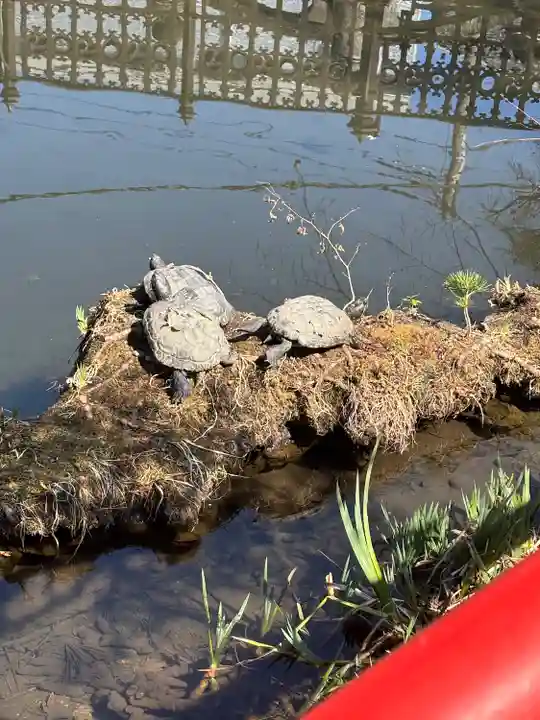 前橋神明宮(群馬県)