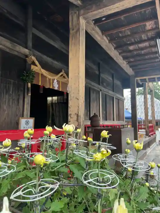 青井阿蘇神社(熊本県)
