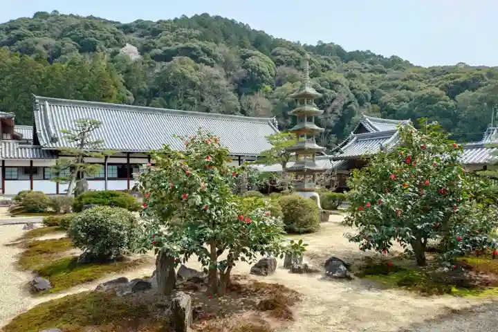 興聖寺(興聖寶林禅寺)(京都府)