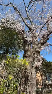柏木神社(宮城県)