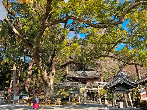 事任八幡宮の自然