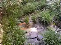 小新屋観音(兵庫県)