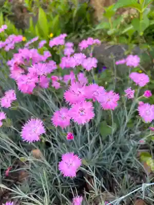 時光寺(兵庫県)