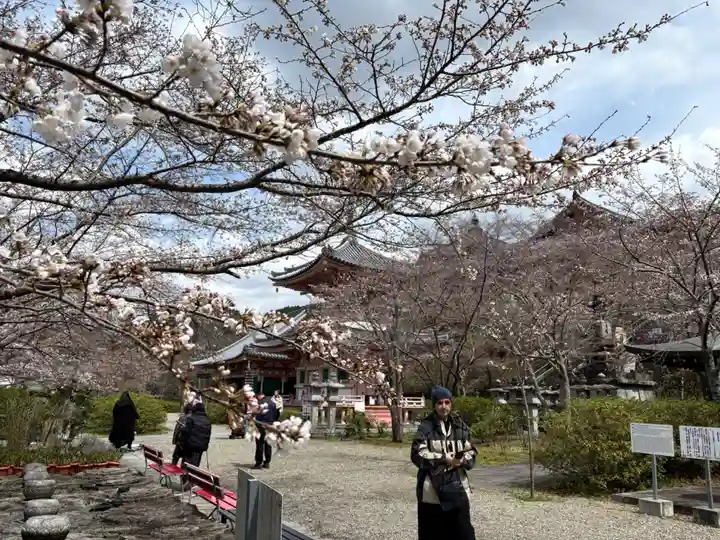 南法華寺(壷阪寺)(奈良県)
