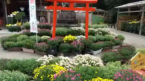 水戸八幡宮の鳥居