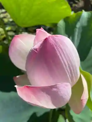 歓喜院(兵庫県)