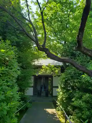 高円寺(東京都)