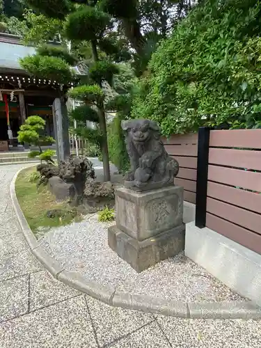 太田杉山神社・横濱水天宮の狛犬