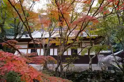 大寧寺(山口県)