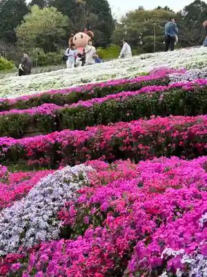 若杉稲荷大明神(兵庫県)