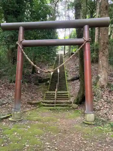 綱神社(栃木県)