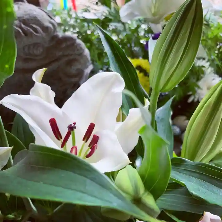 滑川神社 - 仕事と子どもの守り神の手水舎