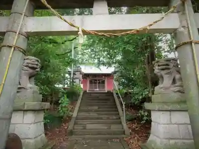 高尾神社の本殿・本堂