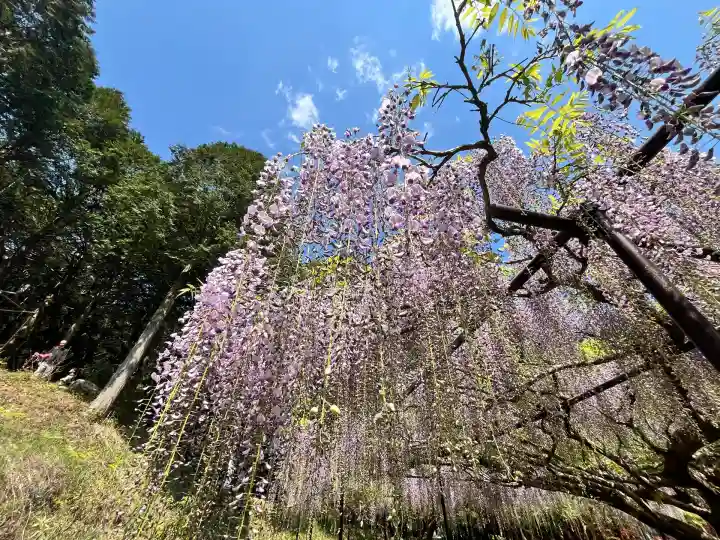 天台宗 五大山 白毫寺(兵庫県)