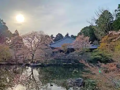 醍醐寺の景色