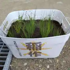 七重浜海津見神社(北海道)