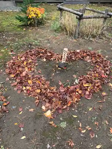 多賀神社の自然