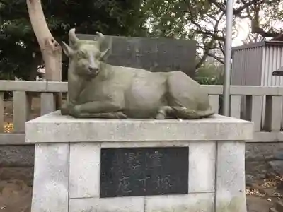 牛嶋神社の狛犬