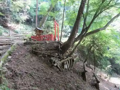 醍醐寺(京都府)