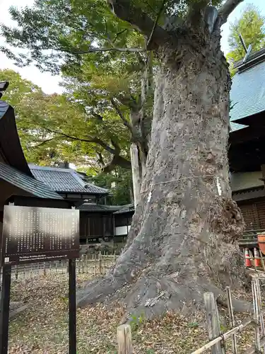 湯福神社(長野県)