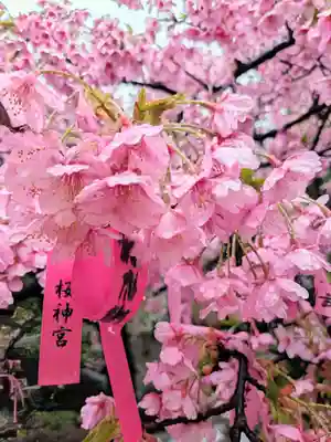 桜神宮(東京都)