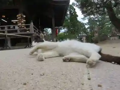 智恩寺(京都府)