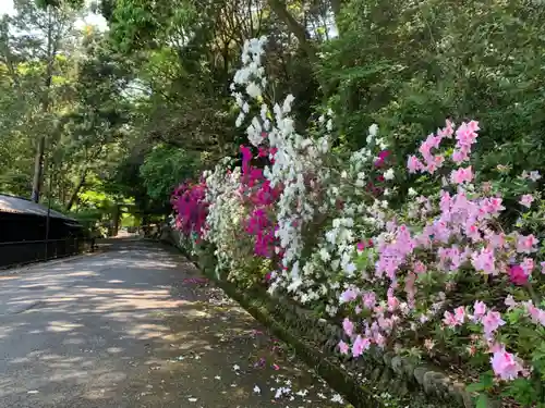 石上神宮の庭園