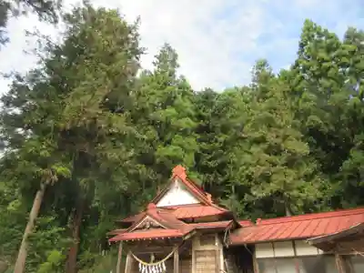 御霊神社(埼玉県)
