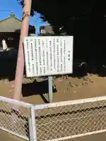 千葉寺(千葉県)