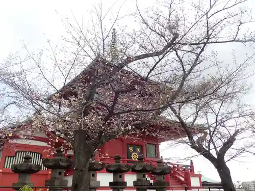孝道山の御朱印