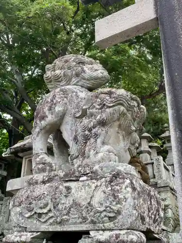 金刀比羅神社の狛犬